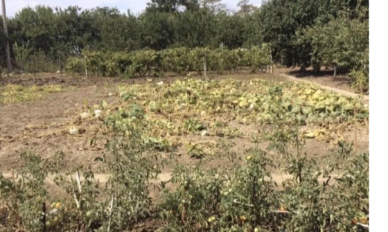 Продаж земельної ділянки 0.1 соток на ул. Авангард-2 кооп., 13 Сухий Лиман