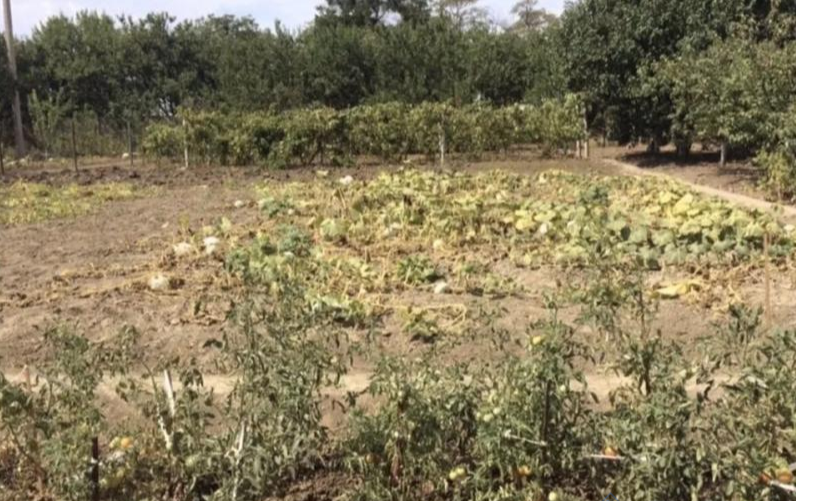 Продаж земельної ділянки 0.1 соток на ул. Авангард-2 кооп., 13 Сухий Лиман - изображение 2