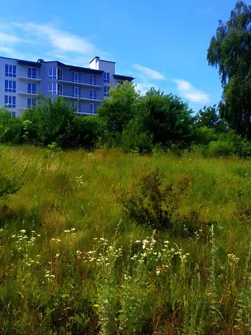 Продажа земельного участка  площадь 6 сот Вербицького вулиця  - изображение 9