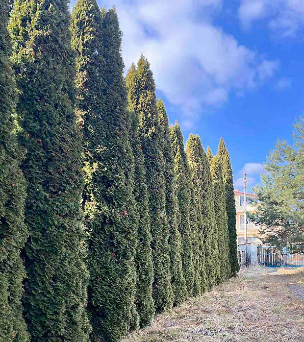 Продаж 3-поверховий Будинок з ділянкою 11 сот 374 кв.м 4 кімн. на Шевченка вул. Малечковичи - изображение 17