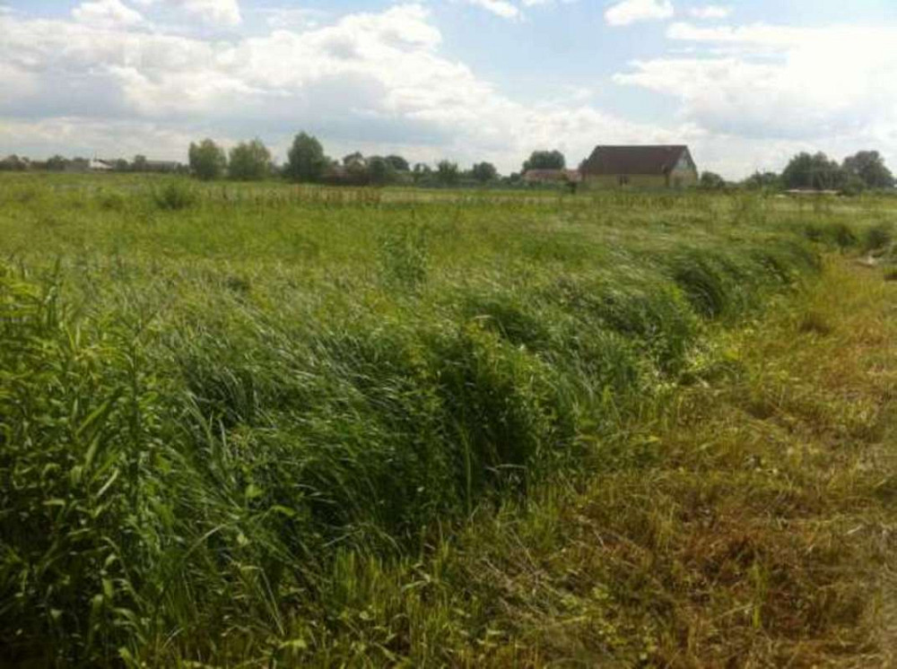 Продаж земельної ділянки 10 соток на Галицкая 30 Бориспіль - фото 1