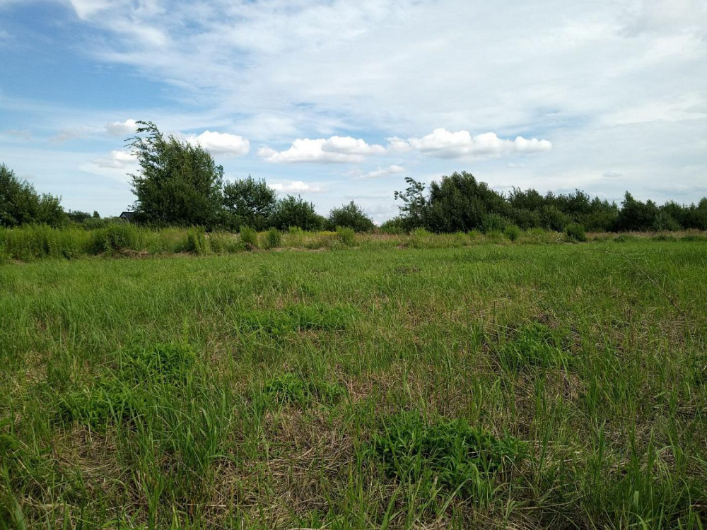 Продаж земельної ділянки 8 соток на вул. Стуса Пидрясне - изображение 6