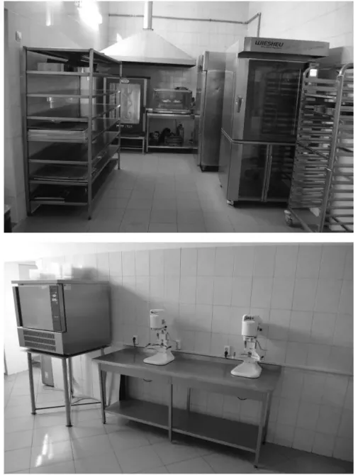 For sale Separate Building / Part Of Building area 910 sq.m  at мукачево Mukacheve - photo 10