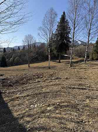 Продаж земельної ділянки 1.25 га Slavske