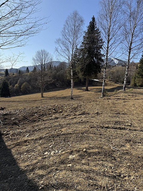 Продаж земельної ділянки 1.25 га Slavske - photo 5