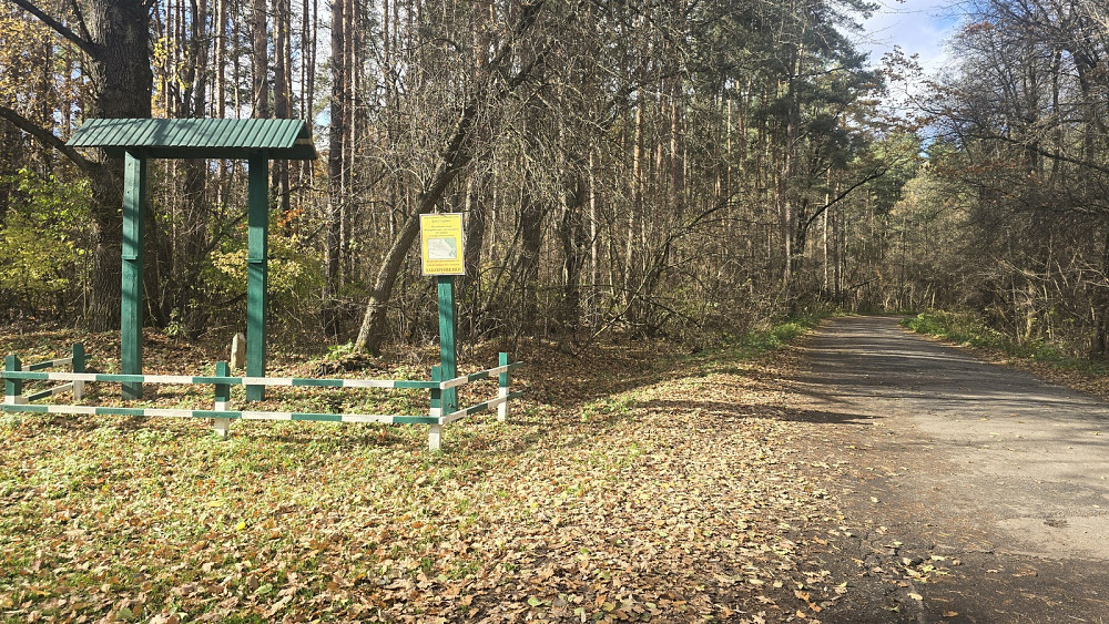 Продаж земельної ділянки 12 соток на Лісова Быстри - фото 6