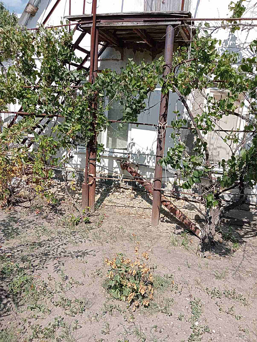 Продам дачу на берегу Хаджибеевского лимана (35 км от Одессы) Єгорівка - фото 4