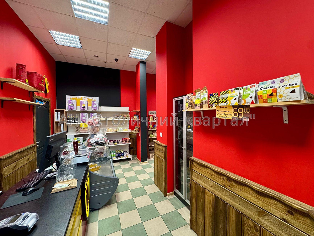 Оренда Будинок на Олени Пчілки вул., 2А Київ - фото 13