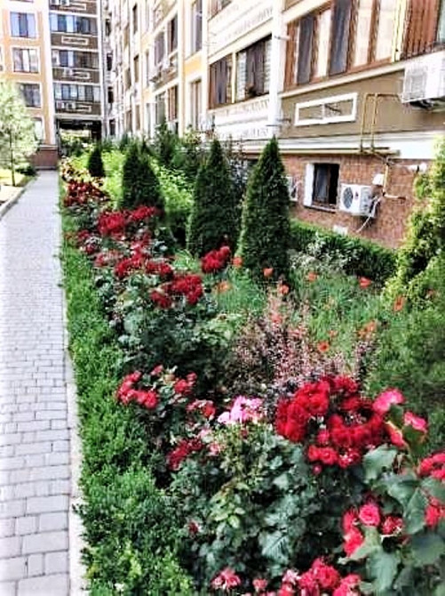 Двухкомнатная квартира в Академгородке на Говорова. Одеса - фото 9