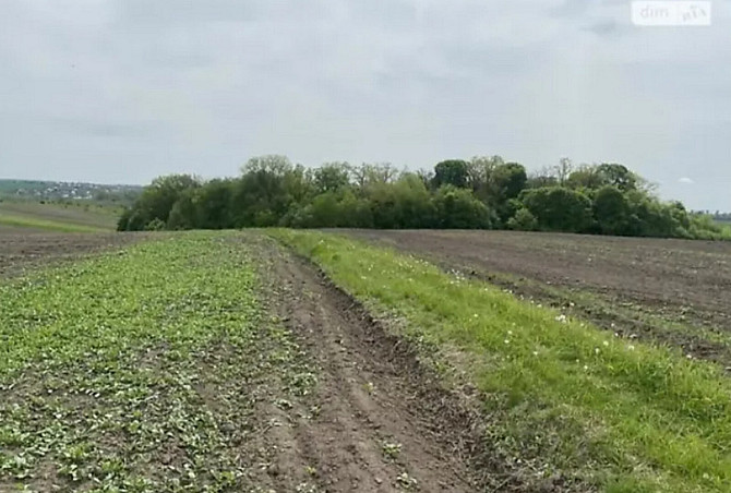 Продаж земельної ділянки під житлову забудову, площа 15 соток, Байківці Байківці - фото 7