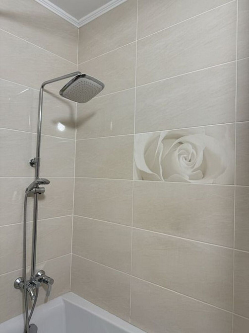 Продаж Квартира 1-кімнатна, 19/26 поверх на Олени Пчілки, 3 Киев - изображение 14