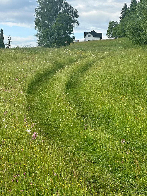 Продаж земельної ділянки 82 соток Турка - фото 3