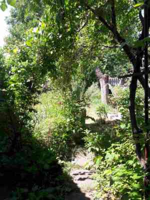 Продаж земельної ділянки 0.1 соток на ул. Шевченко, 6 Sukhyi Lyman