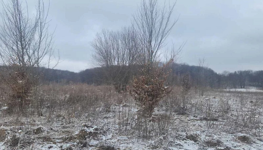 Продаж земельної ділянки 2.35 га на Барвінкова  - photo 2