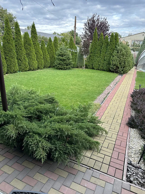 Продаж Будинок Олександрія - фото 15