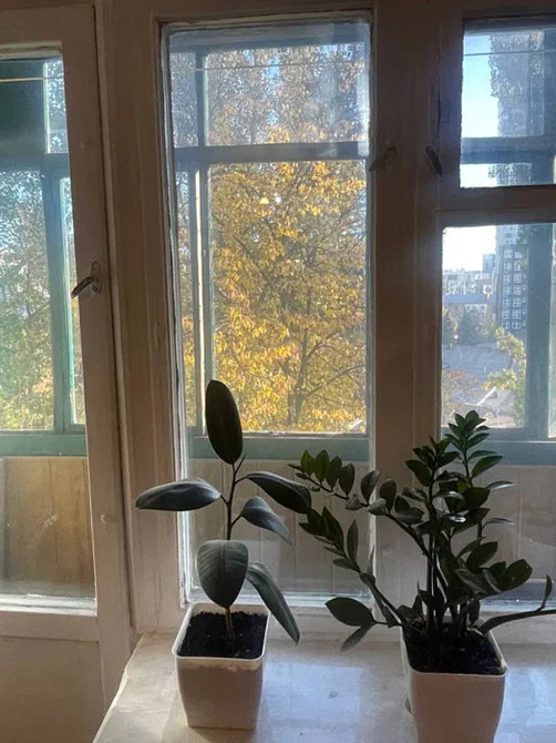 Оренда Квартира 2-кімнатна, 5/5 поверх на Тверський тупик, 68 Київ - фото 8