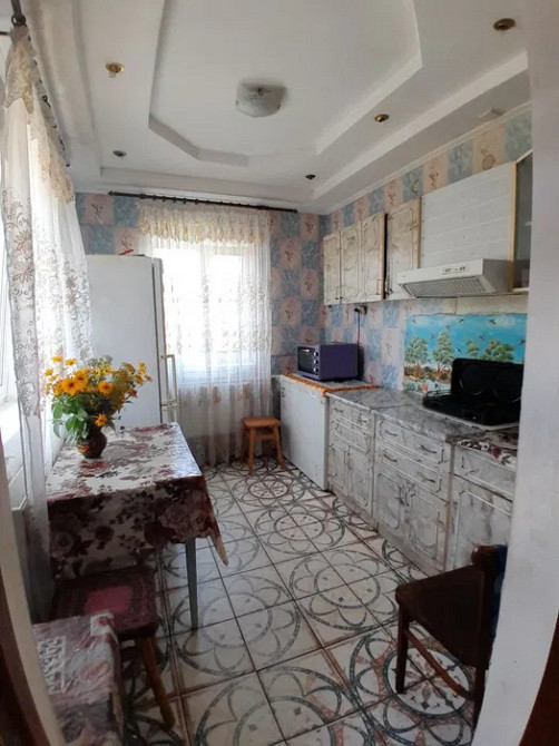 Продається будинок в с. Високі Байраки. Високі Байраки - фото 8