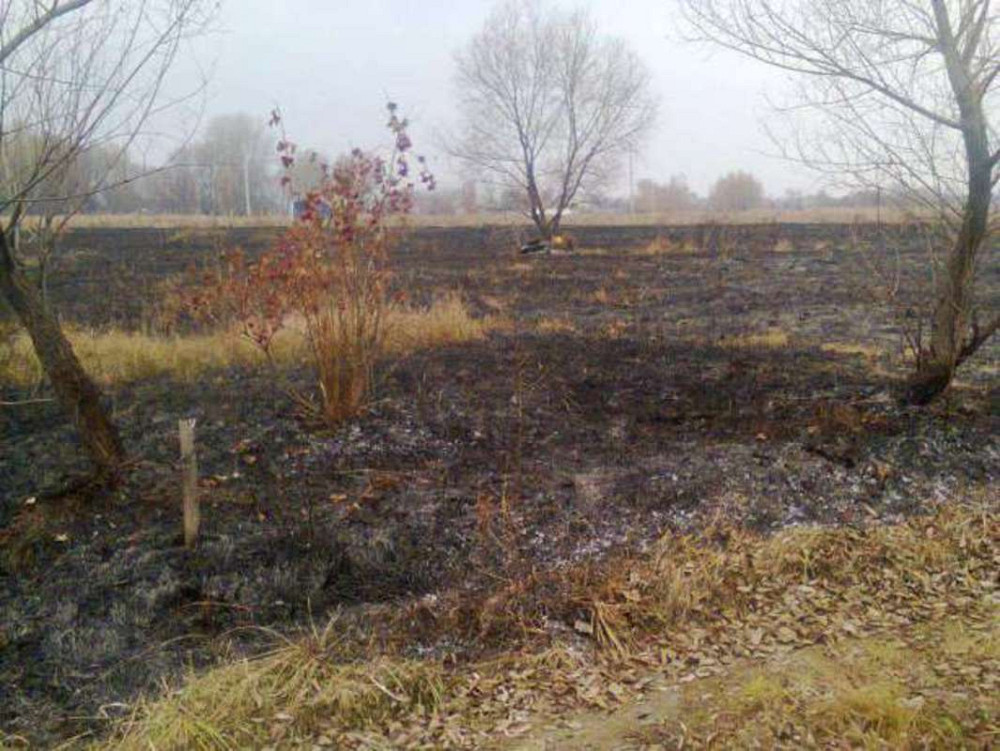 Продаж земельної ділянки 10 соток  - фото 3