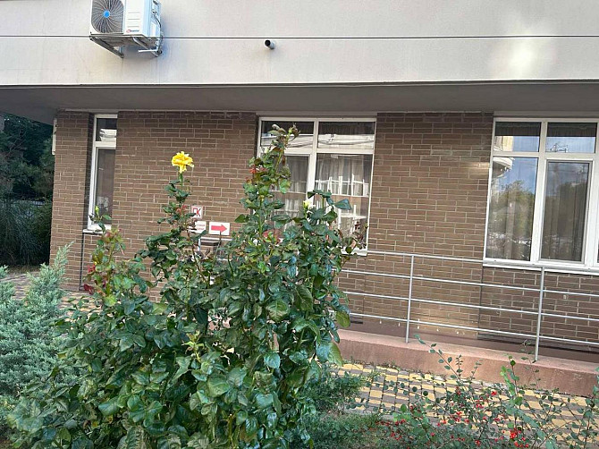 Приморський, бульвар Французький Одеса - фото 15
