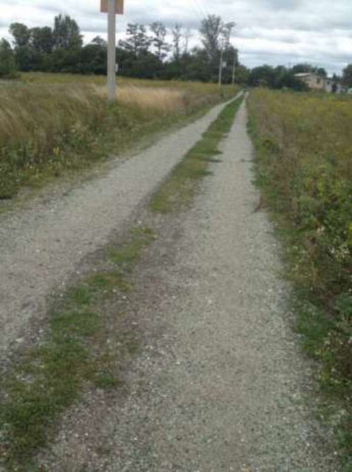 Продаж земельної ділянки 14 соток Бориспіль - фото 2