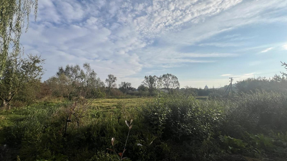 Продаж земельної ділянки 16 соток на вул. Галицька Бібрка - фото 4