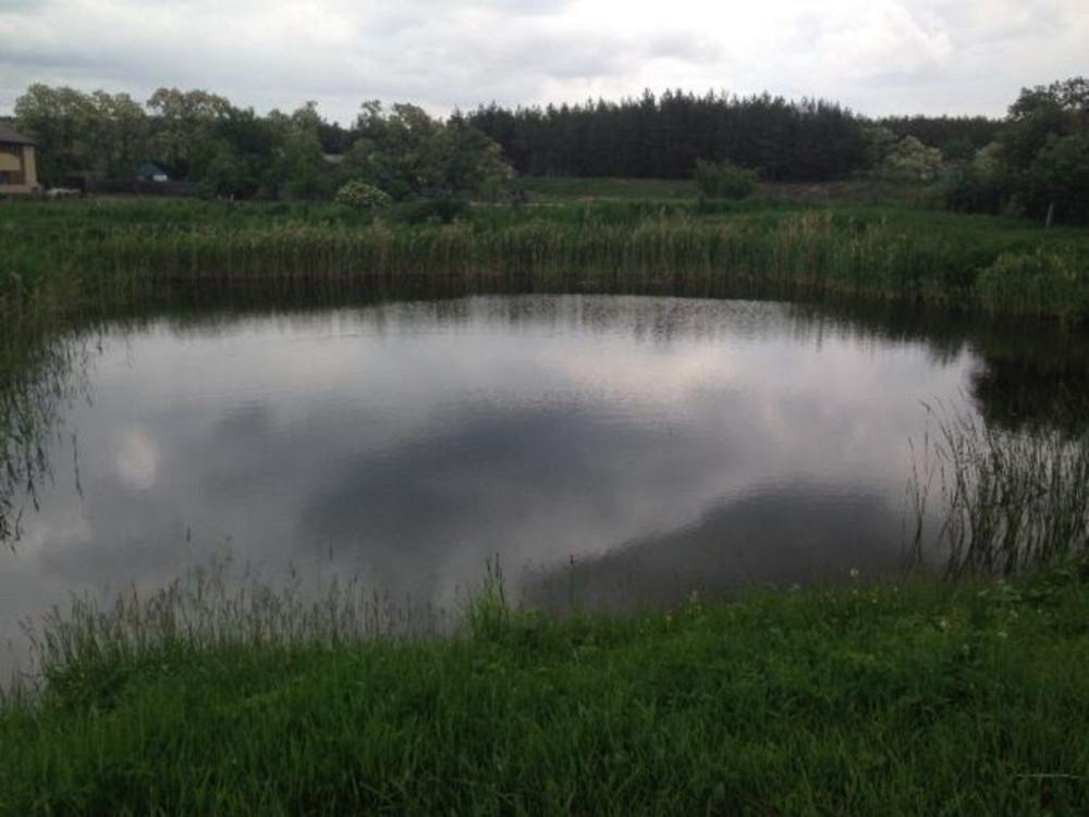 Продаж 1-поверховий Будинок з ділянкою 65 сот 120 кв.м    - фото 3