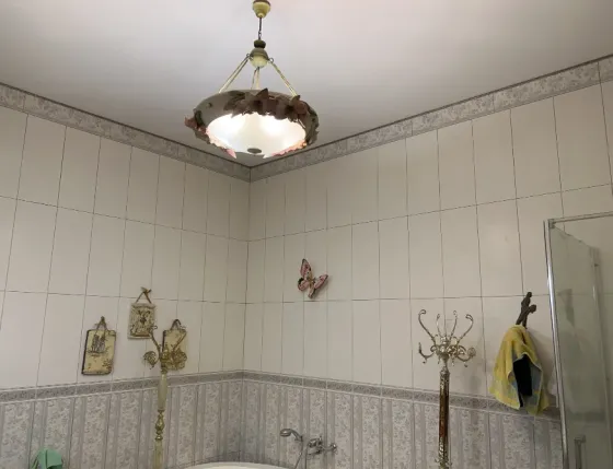 Продажа 1-этажный Дом с участком 6 сот 160 кв.м 3 комн. на Костанди Одесса