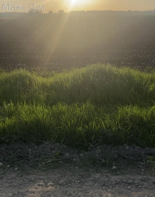 Продаж земельної ділянки 1.55 га Тернополь - изображение 5