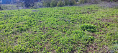 Продаж земельної ділянки 0 соток на Витамин ( 2-й переулок), 394-396 Нерубайське - фото 5