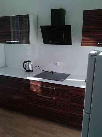 Оренда Квартира 1-кімнатна, 7/25 поверх на вул. Софії Русової, 7 Киев