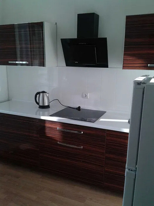 Оренда Квартира 1-кімнатна, 7/25 поверх на вул. Софії Русової, 7 Київ - фото 3