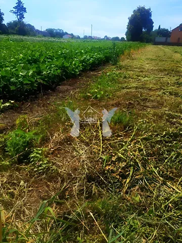 Продажа земельного участка  площадь 32.27 сот Шевченка вулиця  - изображение 4