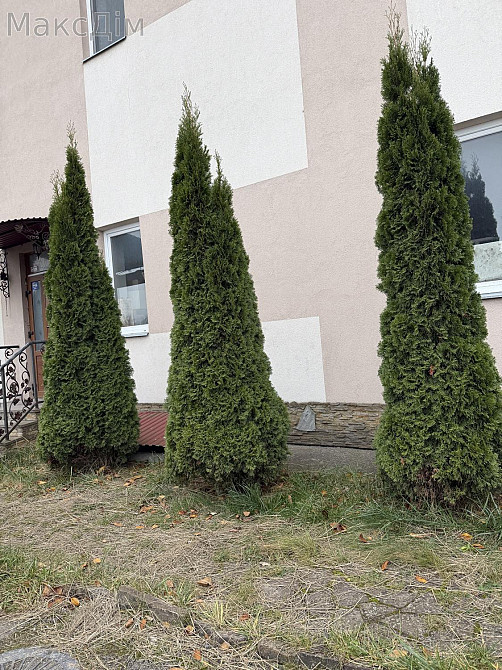 Продаж Будинок 3-кімнатний на вул. Академіка Сахарова Тернопіль - фото 13