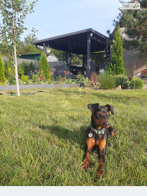 Продаж Будинок 4-кімнатний  - фото 10