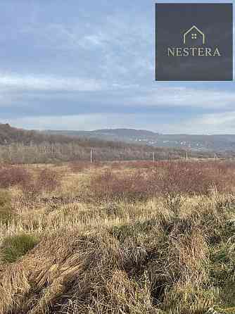 Продаж земельної ділянки 60 соток Кам'яниця