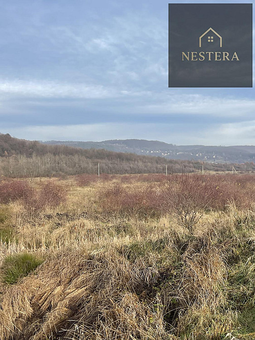 Продаж земельної ділянки 60 соток Кам'яниця - фото 4