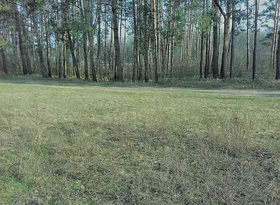 Продаж земельної ділянки 20 соток на Корчак Житомир