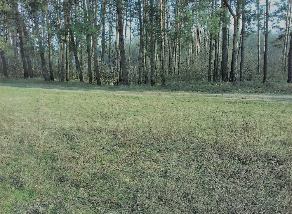 Продаж земельної ділянки 20 соток на Корчак Житомир - фото 3