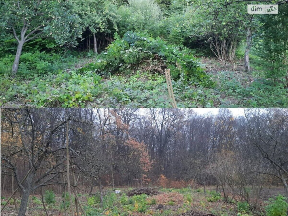Продаж земельної ділянки 40 соток  - фото 8