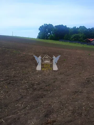 Продажа земельного участка  площадь 27 сот Гайова вулиця  - изображение 3