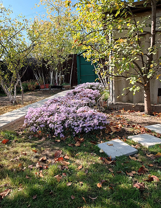 Продаж Будинок 4-кімнатний на вул. Волинський Kharkiv - photo 8