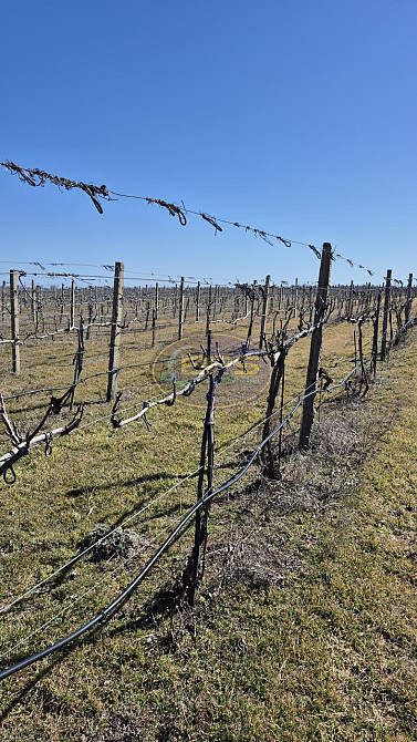 Продаж земельної ділянки 7.72 га на вул. 1 Овідіополь - фото 9