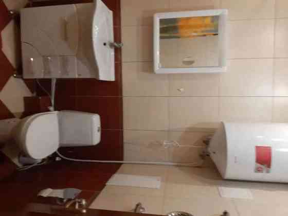 Оренда Квартира 1-кімнатна, 11/24 поверх на ул. Александра Мишуги Київ