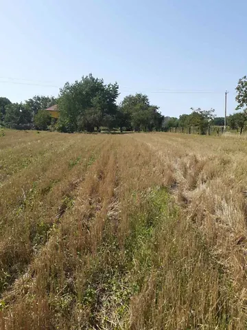 Продаж 1-поверховий   60 кв.м 3 кімн.   - фото 6