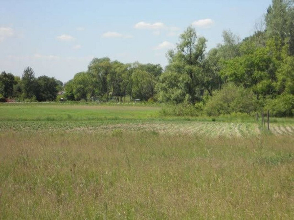 Продаж земельної ділянки 15 соток на Молодежная  - фото 8