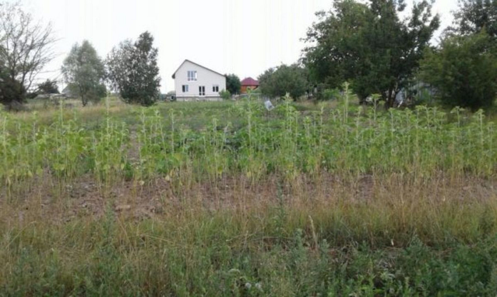 Продаж земельної ділянки 15 соток на Озерная  - фото 1