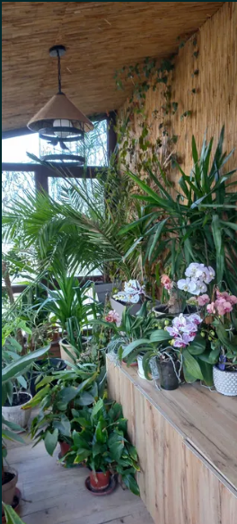 Продам дом у моря в Черноморке! 5–10 минут пешком до пляжа! Одеса - фото 12