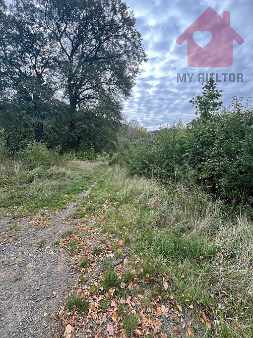 Продаж земельної ділянки 29.4 соток  - photo 6