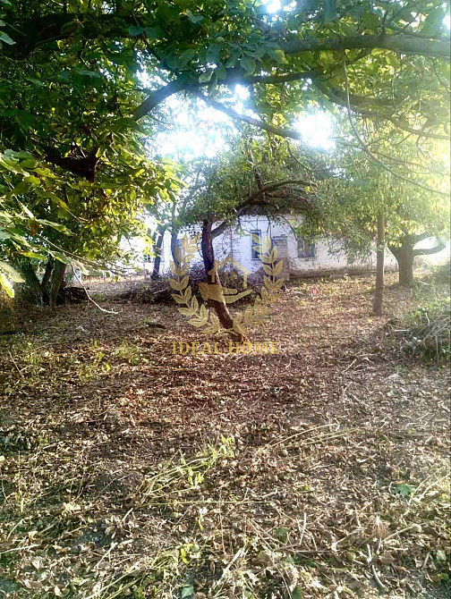 Продається будинок в Юшківому Розі  - фото 12