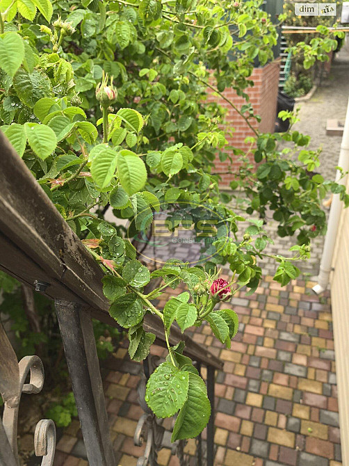 Продаж приміщення вільного призначення на вул. Французский приміщень - 3, поверх - 2/2 Одеса - фото 11